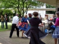 sd_0000239.jpg